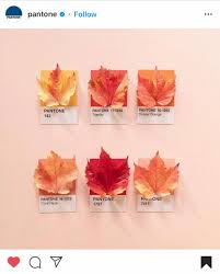 Best Instagram Fall Photo Ideas Inspiration Filters In 2020 Pantone Iphone Photography Inspiration Pantone Colour Palettes