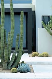 comment entretenir un cactus maison travaux idees jardin jardin mexicain amenagement paysager du desert