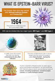 Epstein Barr Virus Symptoms Diagnosis And Treatment Boldsky Com
