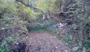 Check spelling or type a new query. Cultura Ecologia Y Sociedad En Nuestro Caminar Por Artxanda Ingenieria Sin Fronteras