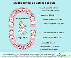 In aceasta perioada in care pacientul poarta o proteza dentara provizorie, pot aparea o serie probleme de ordin general care pot amana tratamentul. Dintii De Lapte Etape De Crestere Si Sfaturi De Ingrijire Copilul Ro