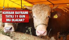 2021 yılının dini günleri belli oldu. 2021 Kurban Bayrami 11 Gun Tatil Olacak Mi Kurban Bayrami Ne Zaman Temmuz Un Kacinda Haber E
