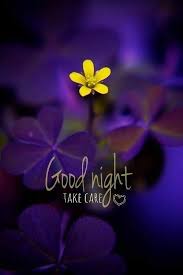 Pin By Narendra Pal Singh On Good Night Good Night Image Good Night Flowers Good Night Blessings