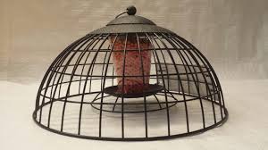 Caged Bird Feeders For Small Birds Uk Squirrel Proof Ground Feeding Haven Squirrel Proof Bird Feeders Metal Bird Feeders Bird Seed Feeders