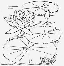 Plants and flowers coloring pages. Find Disney Coloring Pages Free Printable Flower Coloring Book Page 003 Coloringpages Printable Flower Coloring Pages Flower Coloring Pages Flower Printable