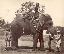 65 India in the 1870 s Images: PICRYL ...