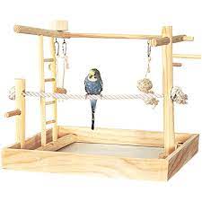 Garden and backyard are not only to give you the most enjoyable scenery of greenery and colorful flowers, but they also give you a daily dose of fresh air to. How To Build Your Own Bird Play Gym Spiffy Pet Products
