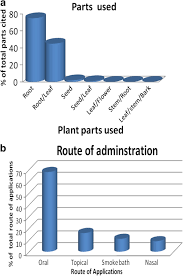 Image result for Achyrospermum schimperi