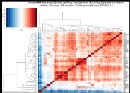 Image result for bioinformatics heatmap