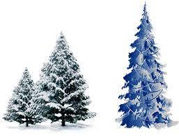 Find the perfect christmas tree image from our incredible photo library. Snow Pine Png Blue Christmas Tree Vector Png Transparent Cartoon Jing Fm
