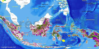 Hutan hujan tropika di malaysia boleh dibahagikan kepada dua kelas iaitu hutan campuran dan hutan dominan tunggal. Hutan Produksi Pengertian Jenis Sebaran Dan Peraturan Laman 2 Dari 5