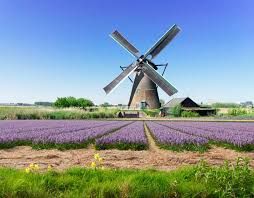 A council of ministers holds executive power. Future Of Energy In The Netherlands Managing The Move To Going Green