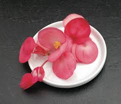 Pourquoi ne pas déguster des fleurs comestibles ! Catalogue Marius Auda Fleurs Comestibles