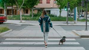 12 Ways To Not Feel Lonely Even If You Re Alone