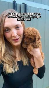 One of my favorite puppy must-haves is a lick mat 🐶✨, You can spread  peanut butter, cream cheese, or even add some frozen ground turkey or  another nutritious topper—and suddenly your pup is happily ...