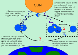 Ozone Layer Wikipedia