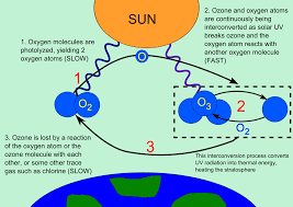 ozone layer wikipedia