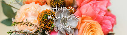 Our service network is spread across 95+ countries and 350+ indian cities. Mother S Day Flowers San Jose Florist Bloomsters San Jose Ca Flower Delivery Bloomsters