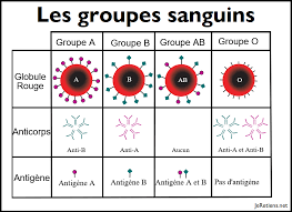 Une différence entre le système rhésus et le système de. Les Groupes Sanguins Heredite Compatibilite Et Repartition Dans Le Monde