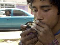 Guest Editorial: San Francisco Needs a Hamsterdam