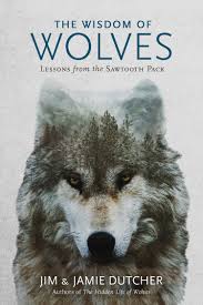 Other than hunting to eat, wolves are usually not. The Wisdom Of Wolves Lessons From The Sawtooth Pack Amazon De Dutcher Jim Dutcher Jamie Bekoff Marc Fremdsprachige Bucher