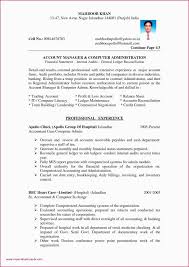 Sample Profit And Loss Statement And Balance Sheet Of Balance Sheet Throughout Certificate Of Analysi Resume Format In Word Accountant Resume Cv Format For Job