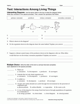 Animal adaptions lessons tes teach from animal adaptations worksheets, source:tes.com. Animal Adaptations Lessons Printables Activities K 12 Teachervision