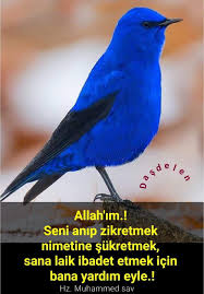 Hedef 2023 Adli Kullanicinin Hadis Panosundaki Pin 2020