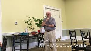 This process leaves the portion forming. Air Layering Camellias With Dr Doug Webb Part 1 Youtube