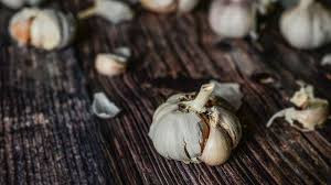Bawang putih bakar maupun panggang sesungguhnya dapat menjadi alternatif untuk anda yang kurang menyukai bawang putih. Belum Banyak Yang Tahu Bawang Putih Bakar Ampuh Musnahkan Gejala Maag Hingga Cegah Kanker Tribun Batam