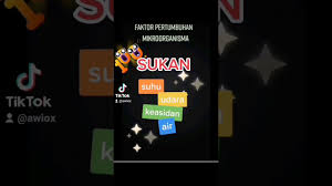 Pertumbuhan ditandai dengan bertambahnya bentuk, tinggi, panjang, berat dan volume makhluk hidup. Sains Tahun 6 Faktor Pertumbuhan Mikroorganisma Youtube