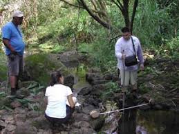 FIELD INVESTIGATION REPORT