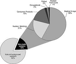 Public Summary Executive Summary Health Risks From