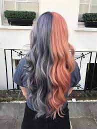 This can be one of the causes of gnarly split ends. Split Hair Blue And Pink Hair Hair Styles Split Dyed Hair Two Color Hair