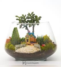 Ciftligimiz Ve Huzur Teraryum Terraria Cactus Terrarium Minyatur Bahceler
