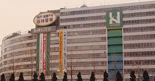 Jun 12, 2018 · 2018年6月1日にリニューアルオープンした阪神梅田本店（阪神百貨店）。立ち食い店舗が軒を連ねる「スナックパーク」（通称:スナパー）が待望の復活！以前から人気のあった「阪神名物 いか焼き」「元祖ちょぼ焼き本舗」などを含め、合計13店がそろいました。この新生スナックパークは、生. é˜ªç¥žç™¾è²¨åº— Wikiwand