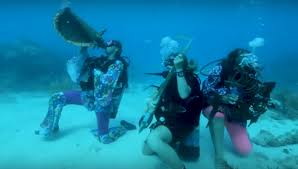 Florida Keys Underwater Music Festival Aims To Promote Reef Protection Deeperblue Com