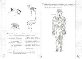 гдз по впр 4 класс окружающий мир волкова 2019 Illyustraciya 1 Iz 11 Dlya Vpr Okruzhayushij Mir 4 Klass Tipovye Zadaniya 25 Variantov Fgos Volkova