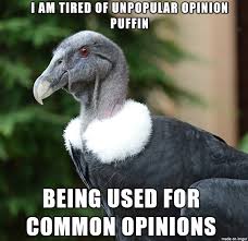 36 Funny Bird Memes Funnybirds Funnyanimals Funnypics Funnypictures Lol Funny Birds Andean Condor Funny Animals