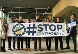 Hol sie dir jetzt, bevor es zu spät ist! Nach Monsanto Urteil Bayer Aktie Verliert Massiv An Wert