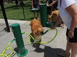 See more ideas about dog washing station, dog wash, dog bath. Dual Dog Wash Station
