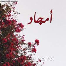 أمجاد شكل 18 صوره الورد الأحمر للإسم بخط رقعة كتابة على الورد 2021