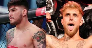 Bullying floyd mayweather in front of the press the other night and snatching his cap. Dillon Danis Calls Out Jake Paul Following Knockout Of Ben Askren Grappling Insider