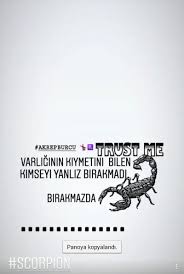 Akrep Kiymet Bilir Ama Kiymetini Bilen Olmaz Akrep Akrep Burcu Kitap Sayfalari