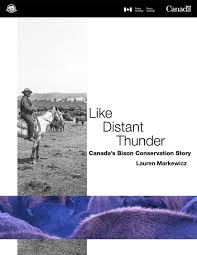 The latest form guide, statistics and horse racing analysis for distant thunder (ire). Like Distant Thunder Canada S Bison Conservation Story Elk Island National Park
