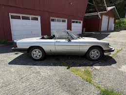 Image result for Avorio 1984 Alfa-Romeo