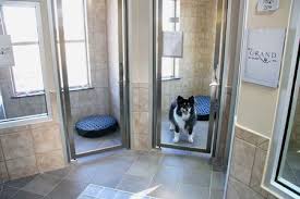 Search our cat boarding database and connect with the best cat boarding and other business, companies & professionals. Great Veterinary Design Without The Dread Pet Boarding Dog Boarding Facility Pet Resort