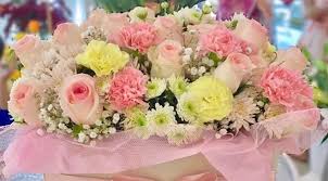 We did not find results for: House Of Flowers Dha Lahore Branch Deals And Discounts Reviews Timings Peekaboo Guru