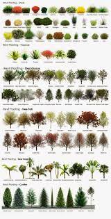 There's a huge range to choose from, of course, and it can be difficult to find exactly the right one to suit your purposes. 50 Amazingly Clever Cheat Sheets To Simplify Home Decorating Projects Landscaping Plants Front Yard Landscaping Plants