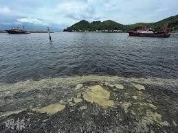 Jul 30, 2021 · 本港水域紅潮報告. Empdoqgnc63fwm